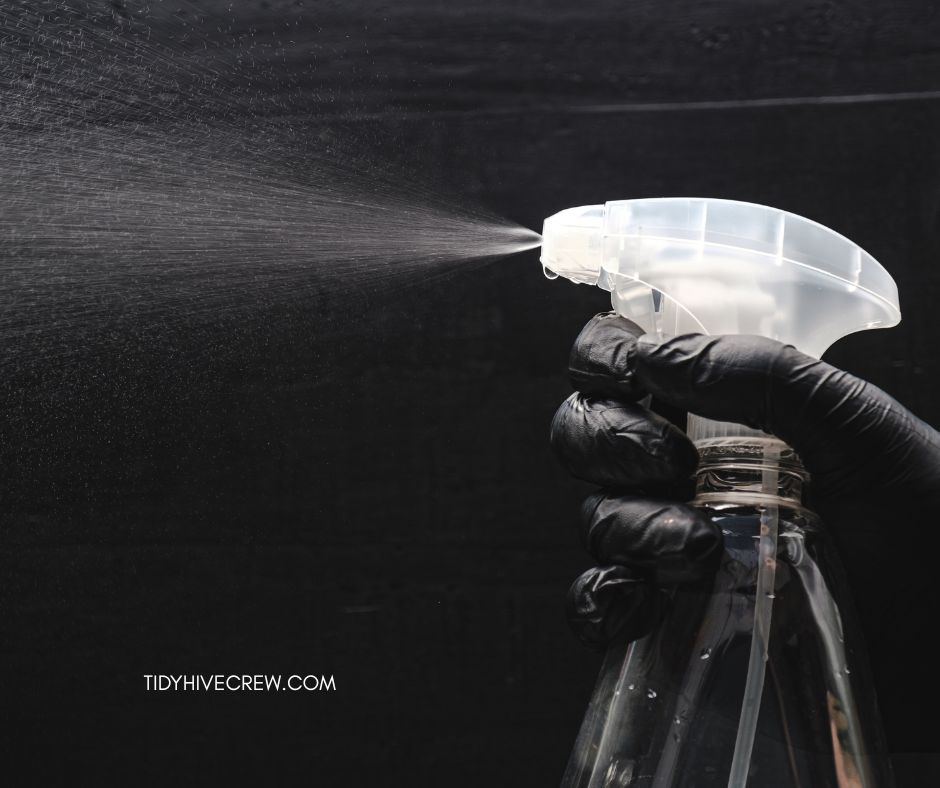 Clorox Disinfecting Mist: